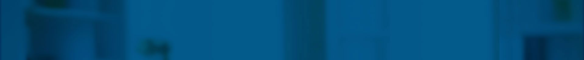 Zoho One Premium Partner Image